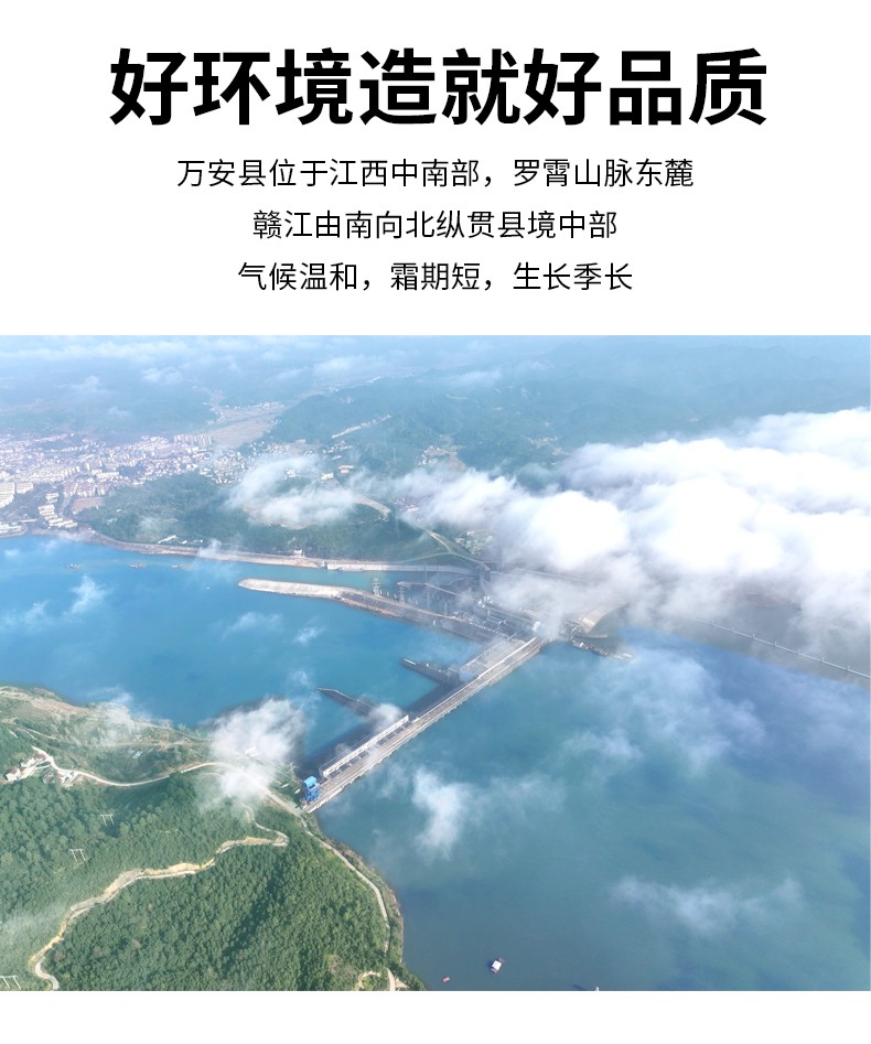 和萬(wàn)安|生態(tài)農(nóng)業(yè)|有機(jī)食品|綠色食品|稻田共養(yǎng)