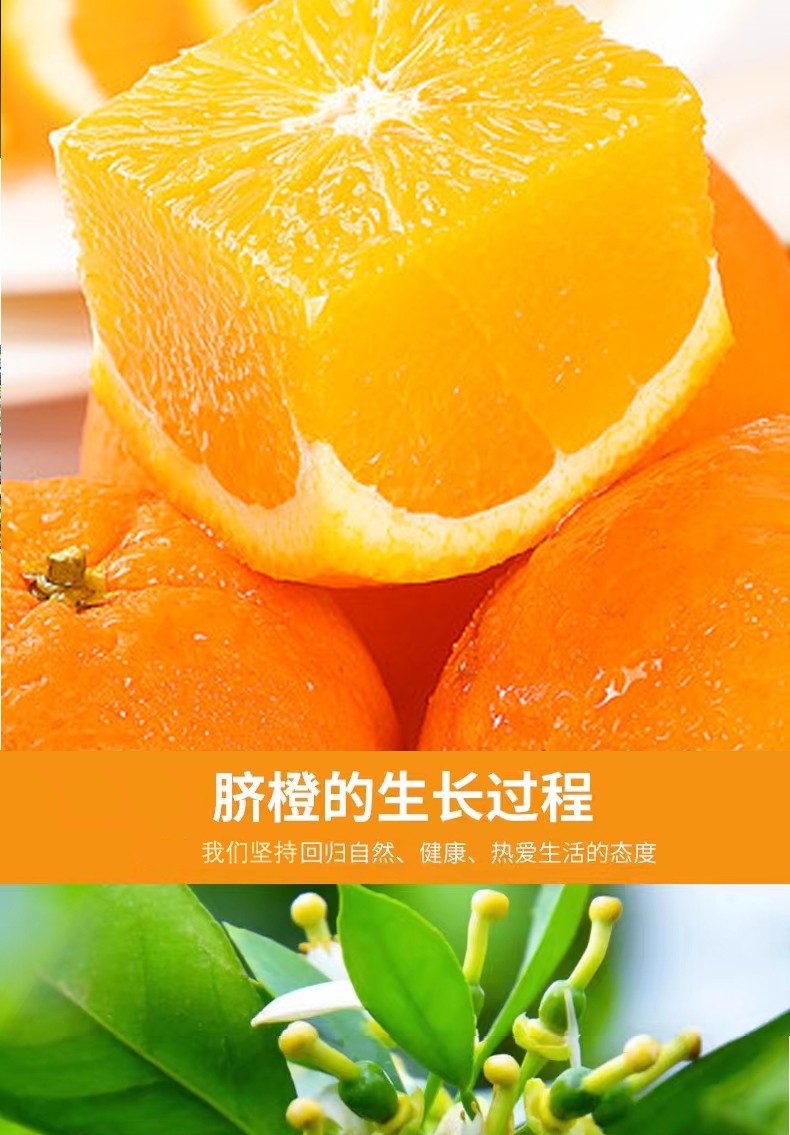 和萬(wàn)安|生態(tài)農(nóng)業(yè)|有機(jī)食品|綠色食品|稻田共養(yǎng)