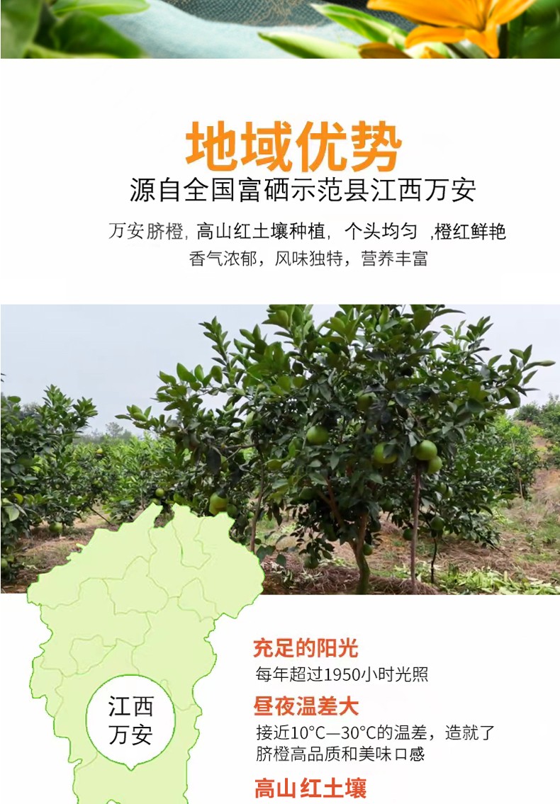 和萬(wàn)安|生態(tài)農(nóng)業(yè)|有機(jī)食品|綠色食品|稻田共養(yǎng)