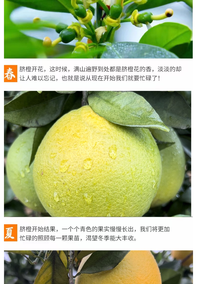 和萬(wàn)安|生態(tài)農(nóng)業(yè)|有機(jī)食品|綠色食品|稻田共養(yǎng)