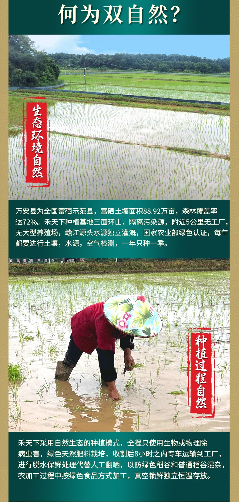 和萬(wàn)安|生態(tài)農(nóng)業(yè)|有機(jī)食品|綠色食品|稻田共養(yǎng)