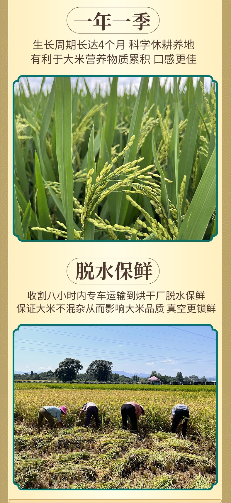 和萬(wàn)安|生態(tài)農(nóng)業(yè)|有機(jī)食品|綠色食品|稻田共養(yǎng)