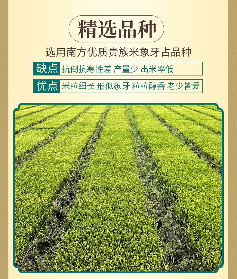 和萬(wàn)安|生態(tài)農(nóng)業(yè)|有機(jī)食品|綠色食品|稻田共養(yǎng)